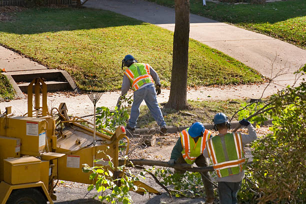 Best Palm Tree Trimming  in Unionville, GA